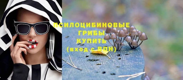 скорость Няндома