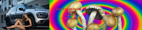 скорость Няндома